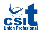 csit, Unión Profesional